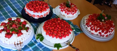En somrig sillunch