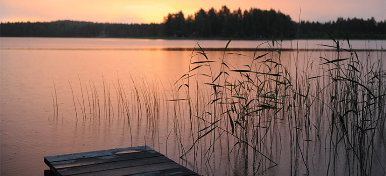 Sommarkväll vid vattnet