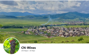 Vänkretsens nyårsfest 29 december