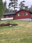 Elitkockarna
