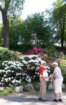 Färgargården caféutflykt