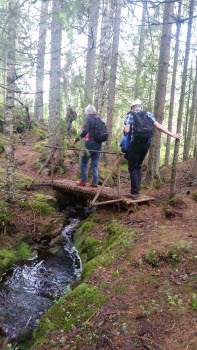 Gårdsjötorp juni