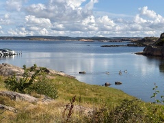 Valsäng 20 aug