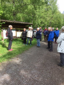 Skönnarboleden 2019