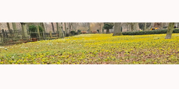 Hörnans resande reporter Eva Sollén hälsar: