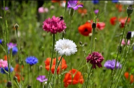 Glad Midsommar och njut av sommarlovet!
