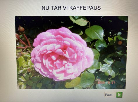 20230515 Hjärnkoll Tjureda