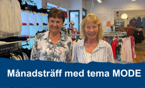 Modevisning