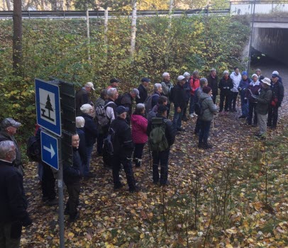 221014 Vandring runt Stavsjön