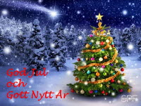 Jul och Nyårshälsning