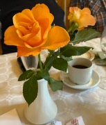 Program och aktiviteter 2026