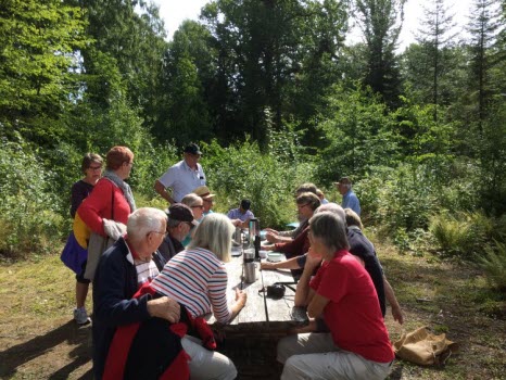 Vandring i ekskogen 2017