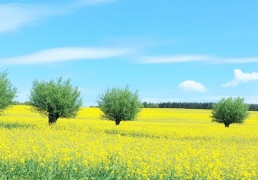 Programhäftet för våren 2026 är ute nu