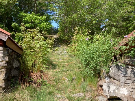 20230525 Heldagsutflykt