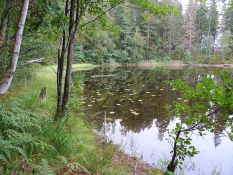 Vandring runt Ågelsjön