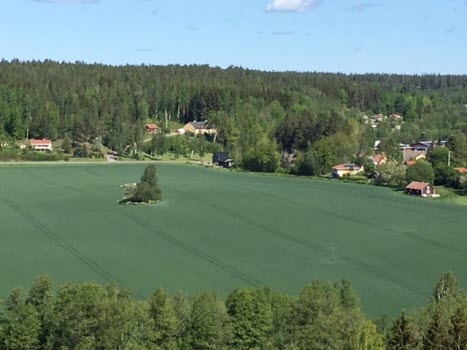 Vandring vid Dambroängen 190531