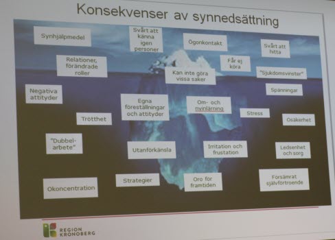 20231019 Synhab och Git Persson