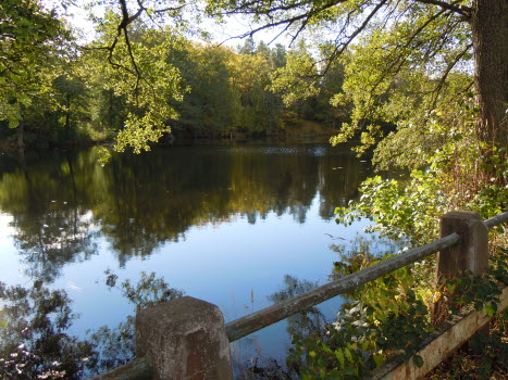 Bild till startsidan