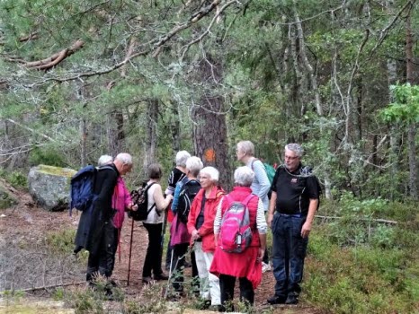 Vandring runt Ågelsjön