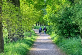 Promenad