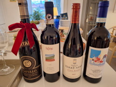 Vinprovning  av italienska viner 6/11