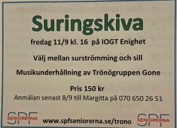 Suringskiva