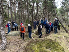 Höstens kulturhistoriska promenader