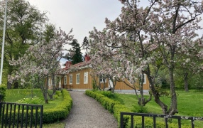 Bergianska trädgården torsdag 7 maj