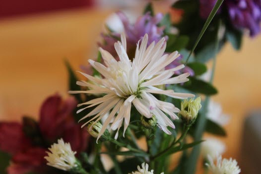 20170921 Artros och Ehrling Lundblad