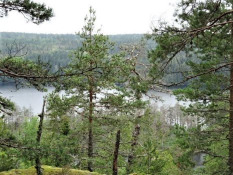 Vandring runt Ågelsjön