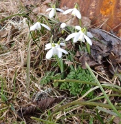 Dags för några påminnelser igen: