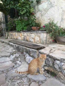 Kroatien 2017