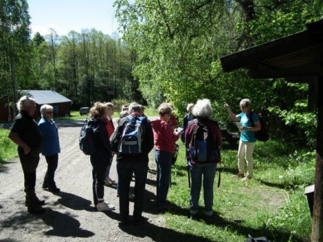 Skönnarboleden
