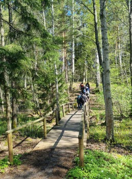 240507 Vandring runt Duveholmssjön