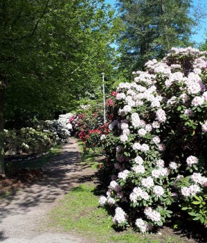 Färgargården caféutflykt