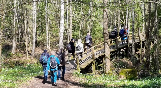 240507 Vandring runt Duveholmssjön