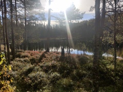 Utflykt Kunnådalen 12 aug