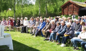 Referat från distriktets vårfest