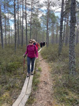 Nävsjön