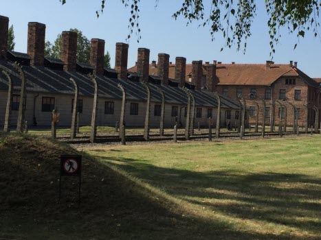 Auschwitz 1