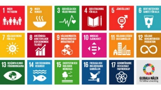 Nya utbildningsmaterialet Hållbara seniorer – kunskap och inspiration för en hållbar vardag