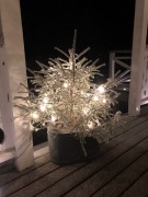 God Jul och Gott Nytt År