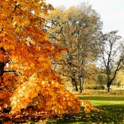 Månadsträff oktober