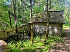 SPF promenad runt Vennebjörke den 27 maj 2026