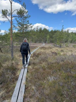 Nävsjön