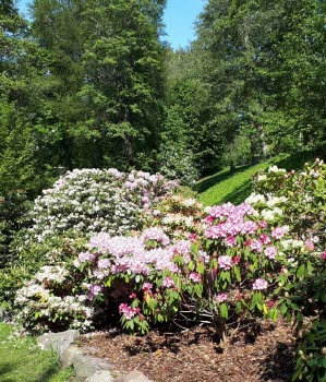 Färgargården caféutflykt