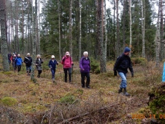 Referat från vandring 5 nov