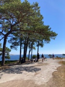 Sommarbrev 2025