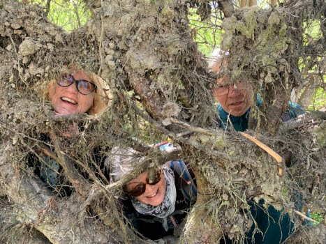 240507 Vandring runt Vuveholmssjön