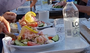 Torsdag 25 juni Utflykt till Ässundet